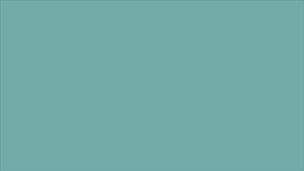 92171ad06125df42b217230bc53dded4.gif