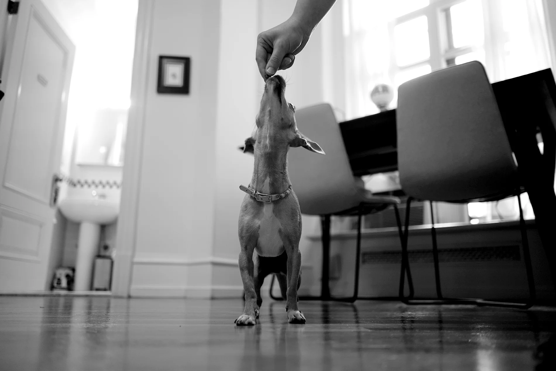 DSC05005_.jpg