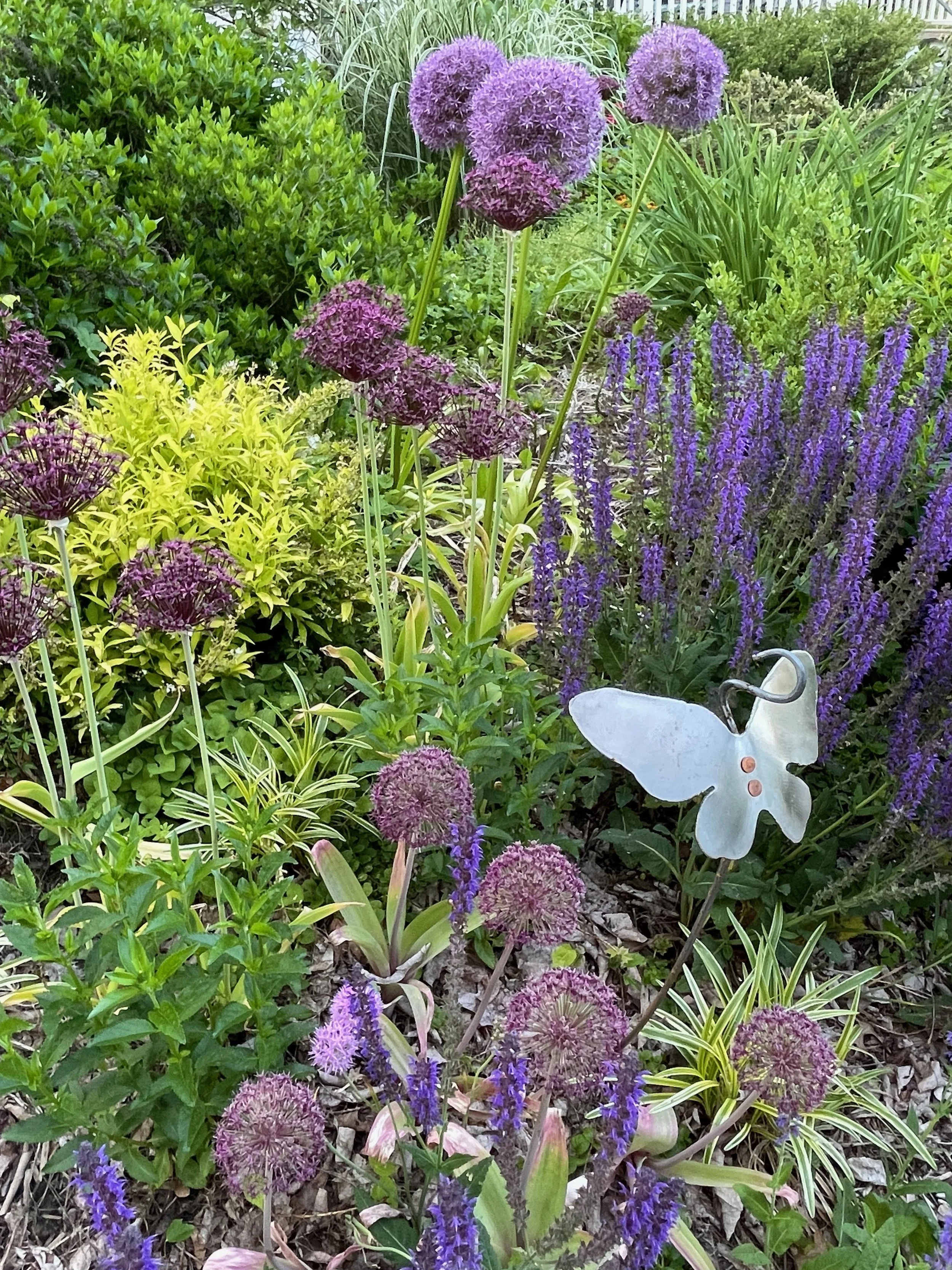 alliums w. silver butterfly.jpeg