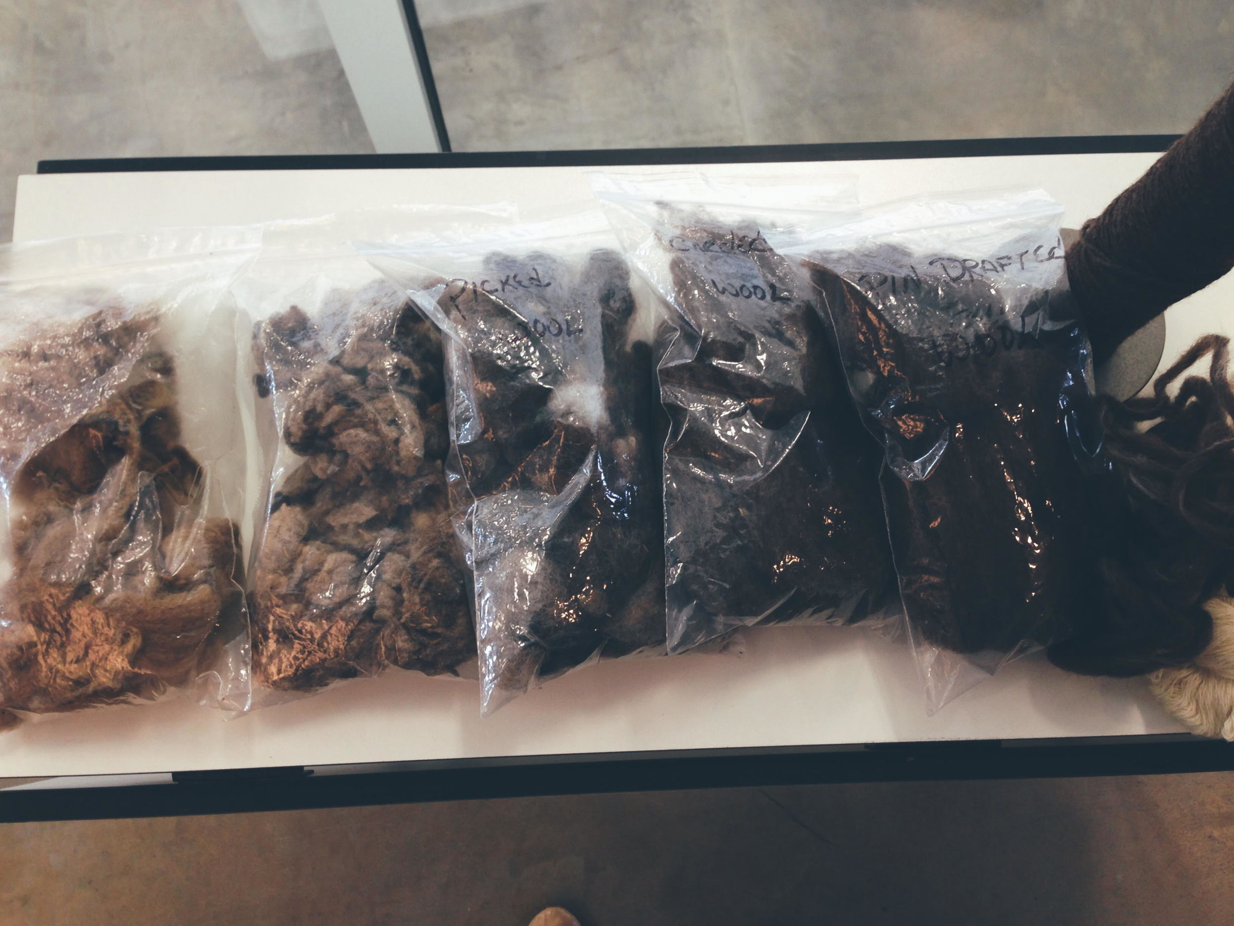 Samples of the wool in every step of the process, from sheep to finished product!