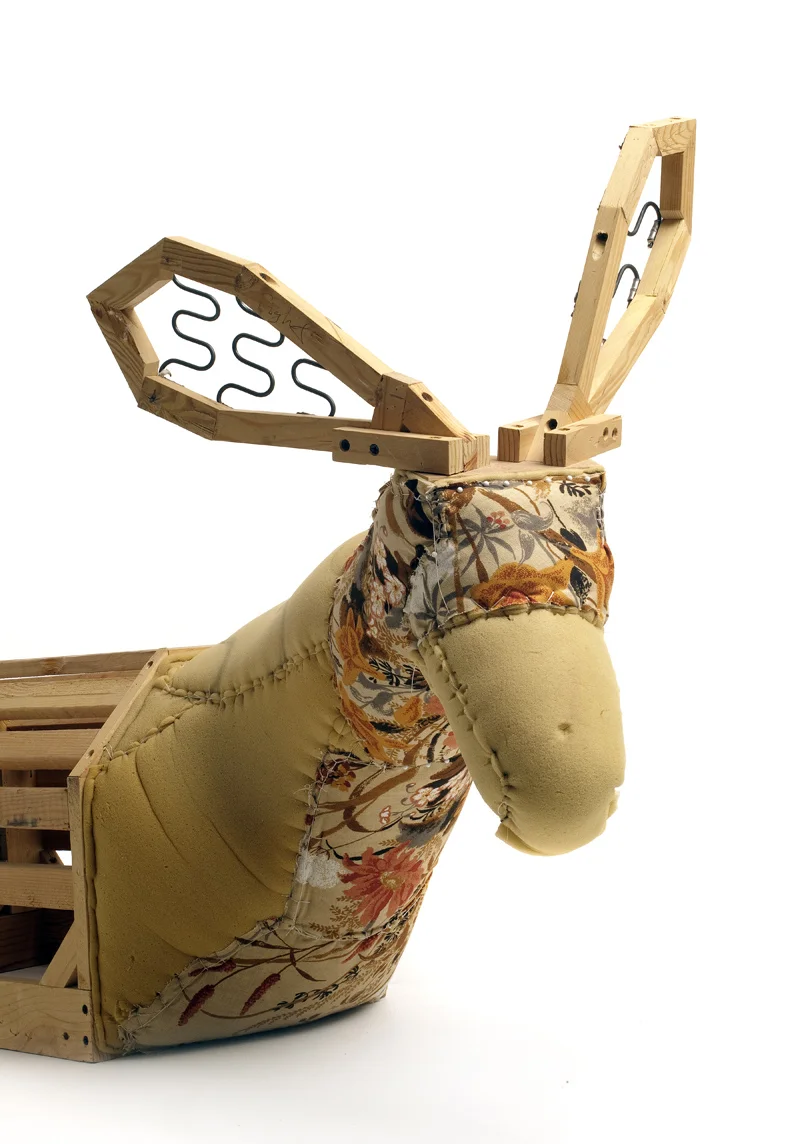 Doe9.jpg