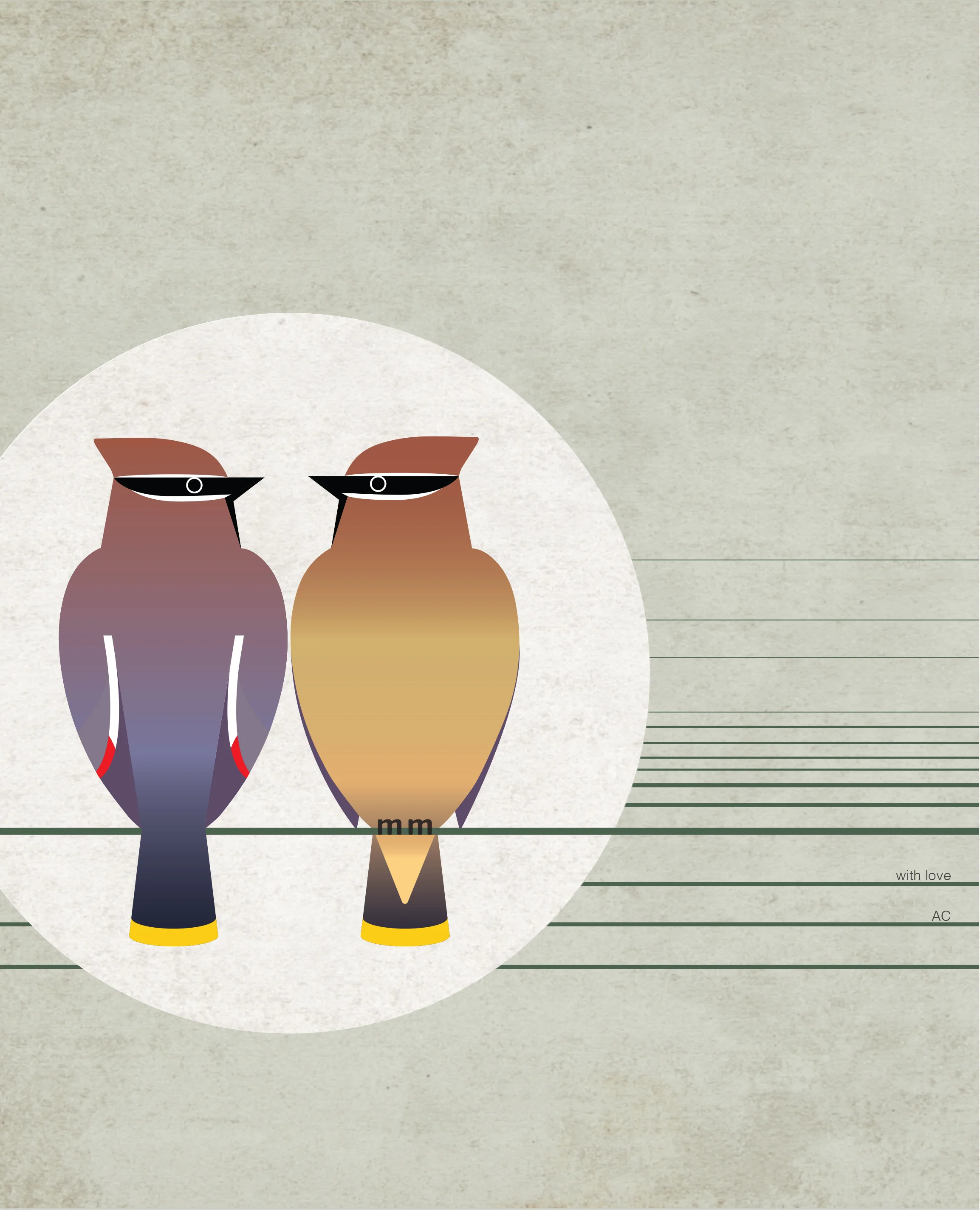 bird illustration.jpg