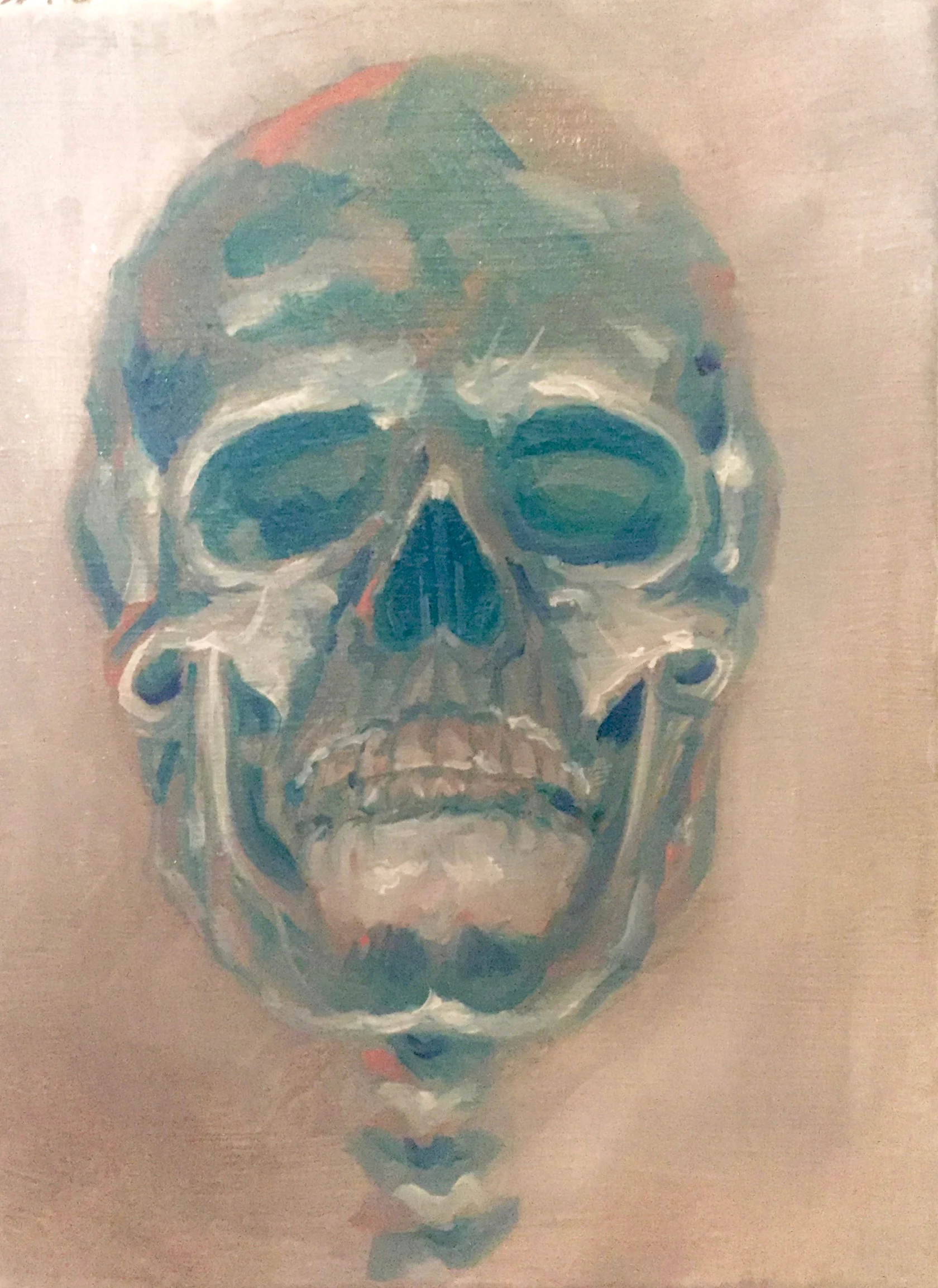 Skull Study