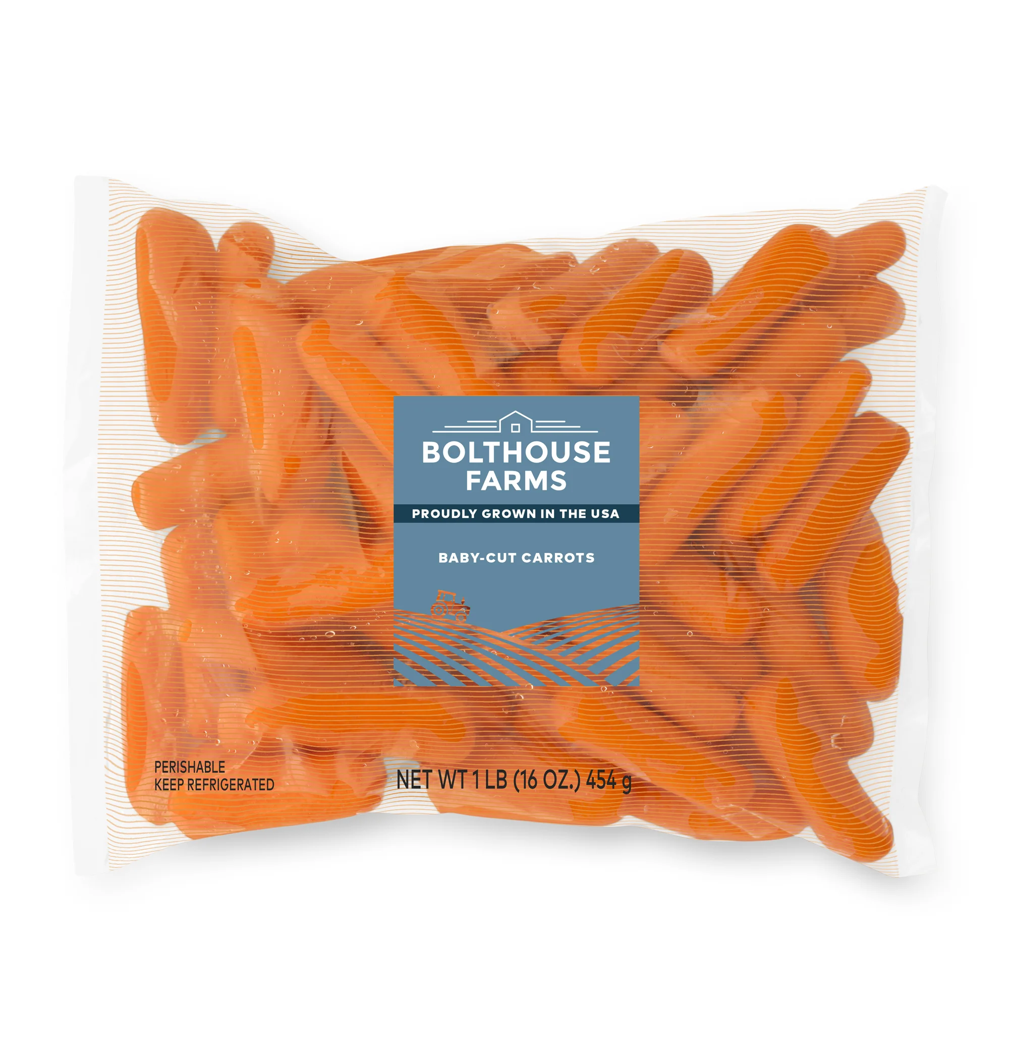 conventional1_v1 cop.jpg