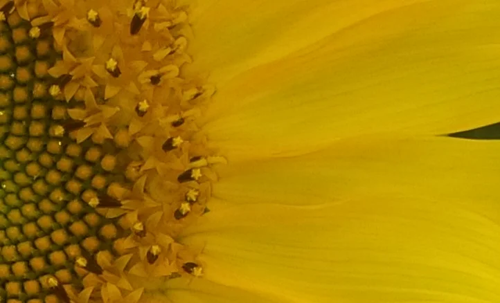 IMG_00000379_edit1.jpg