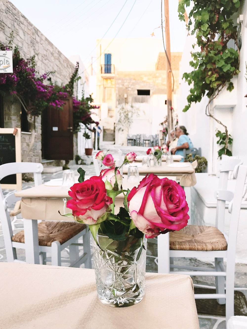 Sweet little roses at dinner