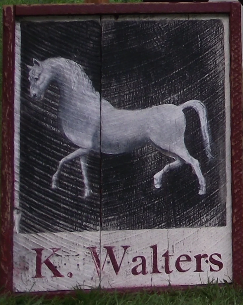 K Walters - White Horse