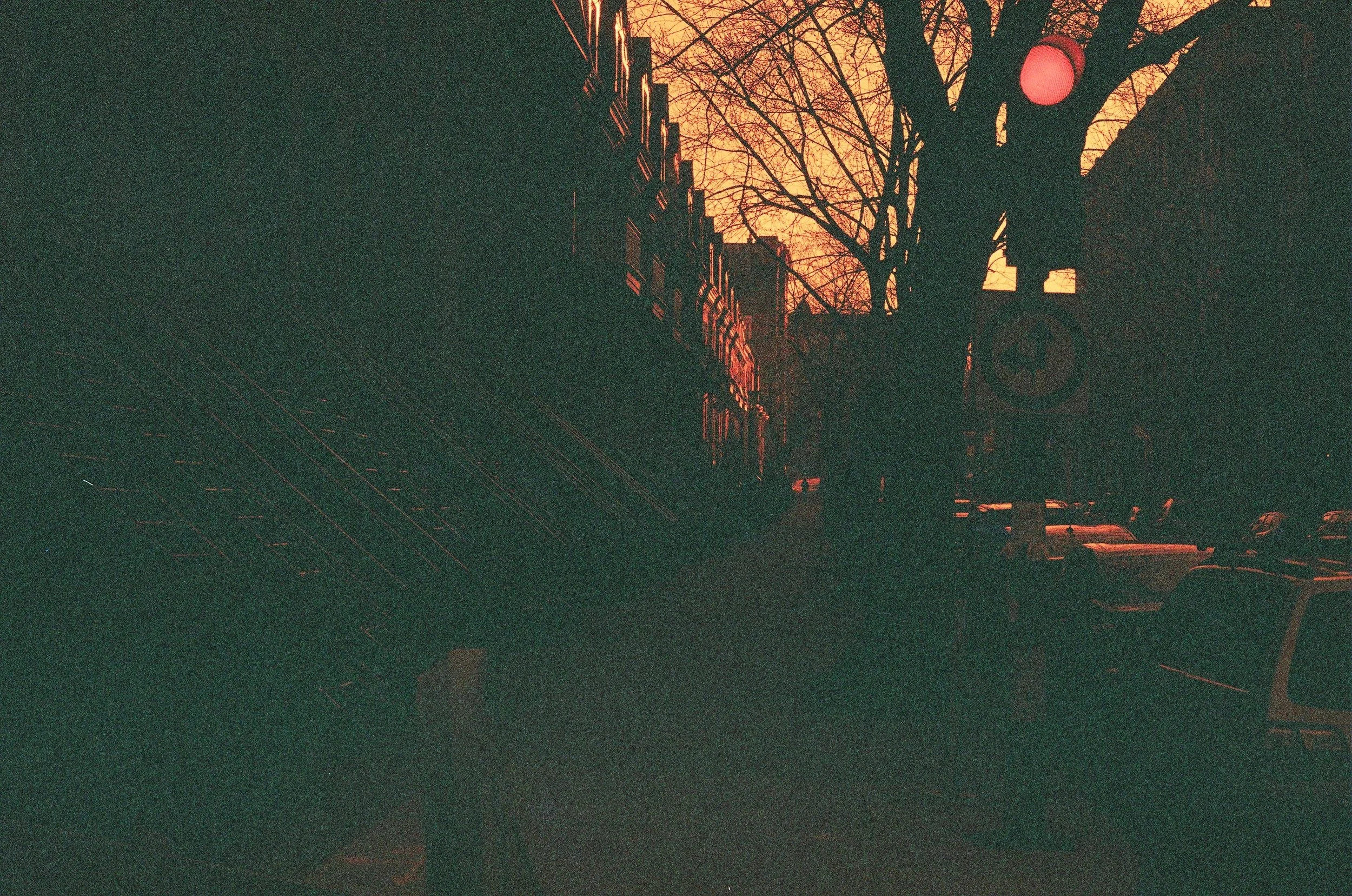 87310024.jpg