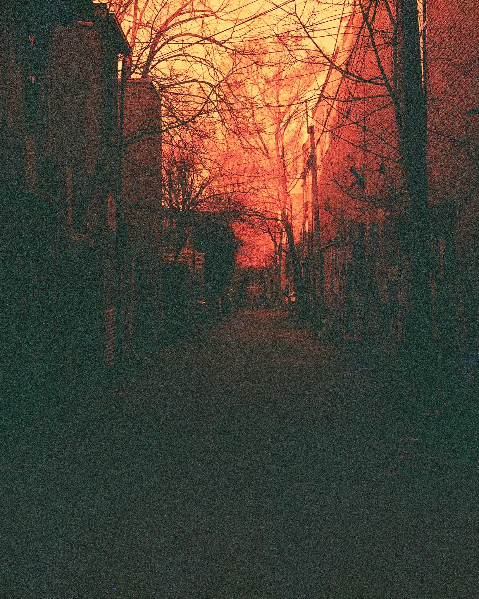 87310030.jpg