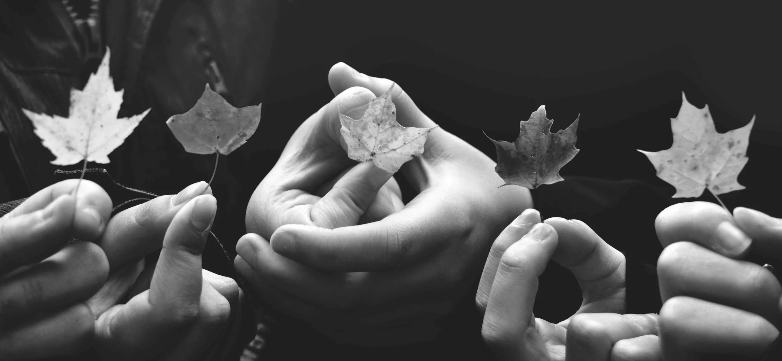 autumn-leaves-black-white.jpeg