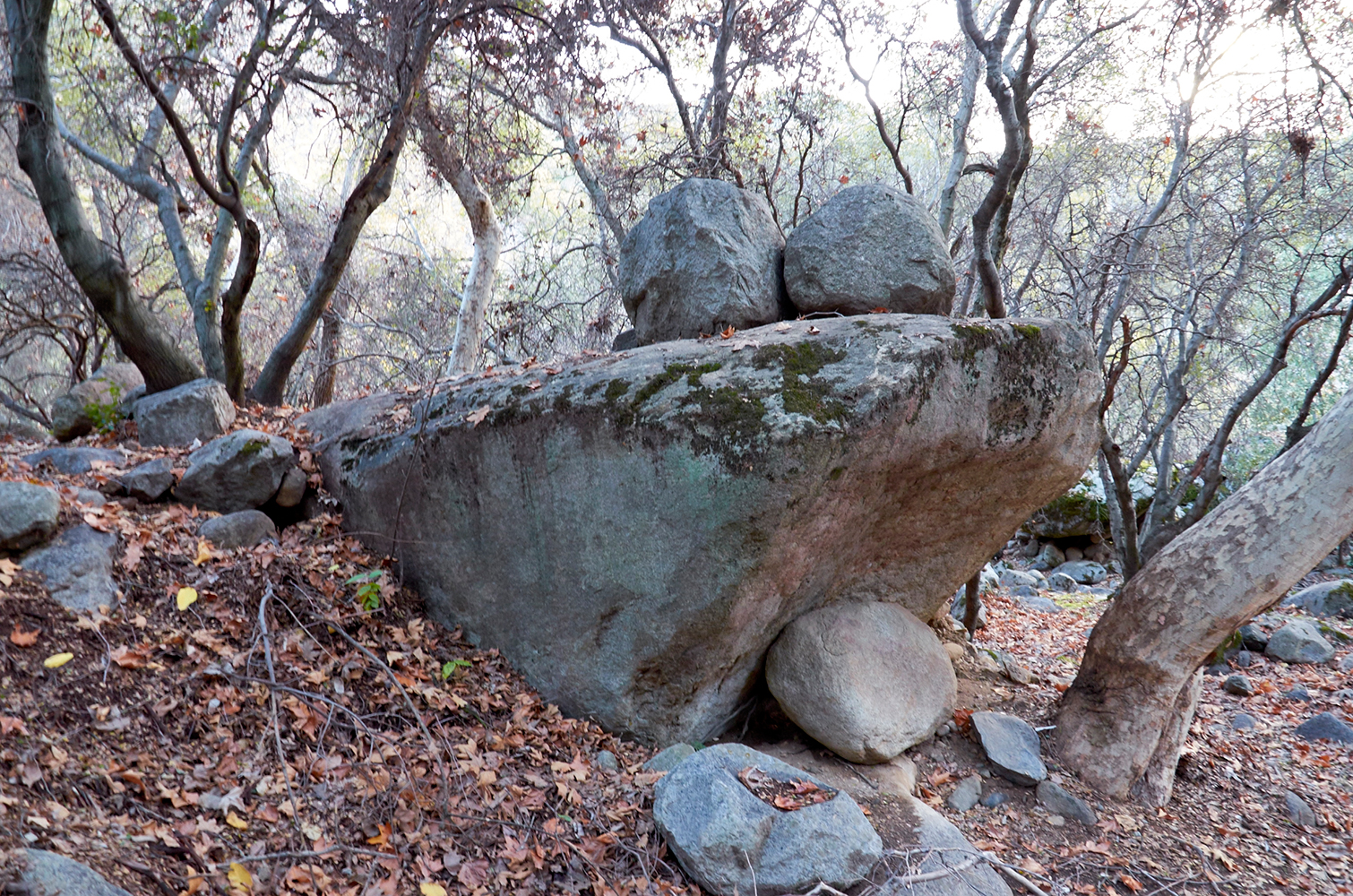 DSC_0187.jpg