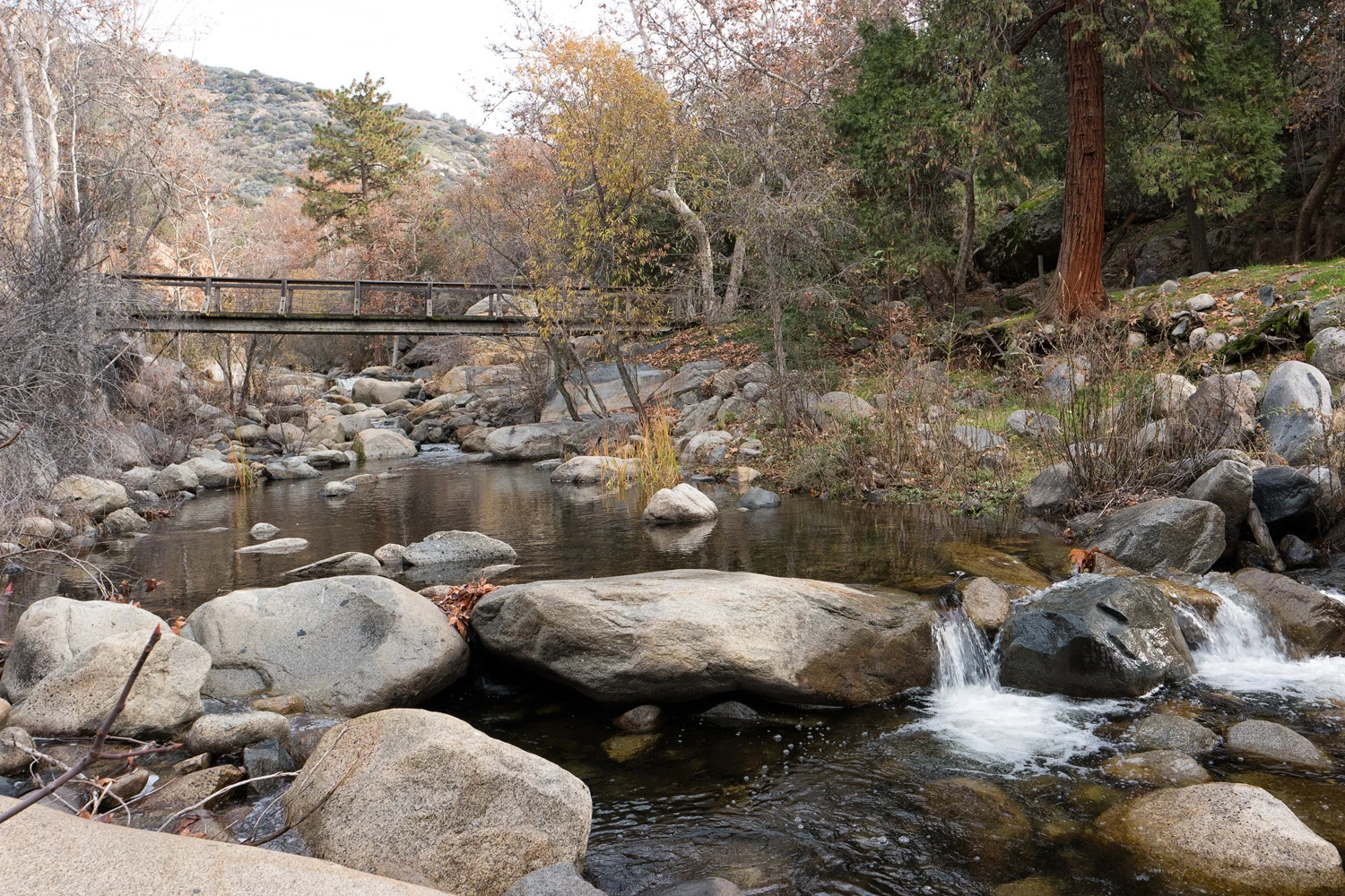 Wasim Muklashy Photography_Three Rivers Ranch_Around_23.jpg