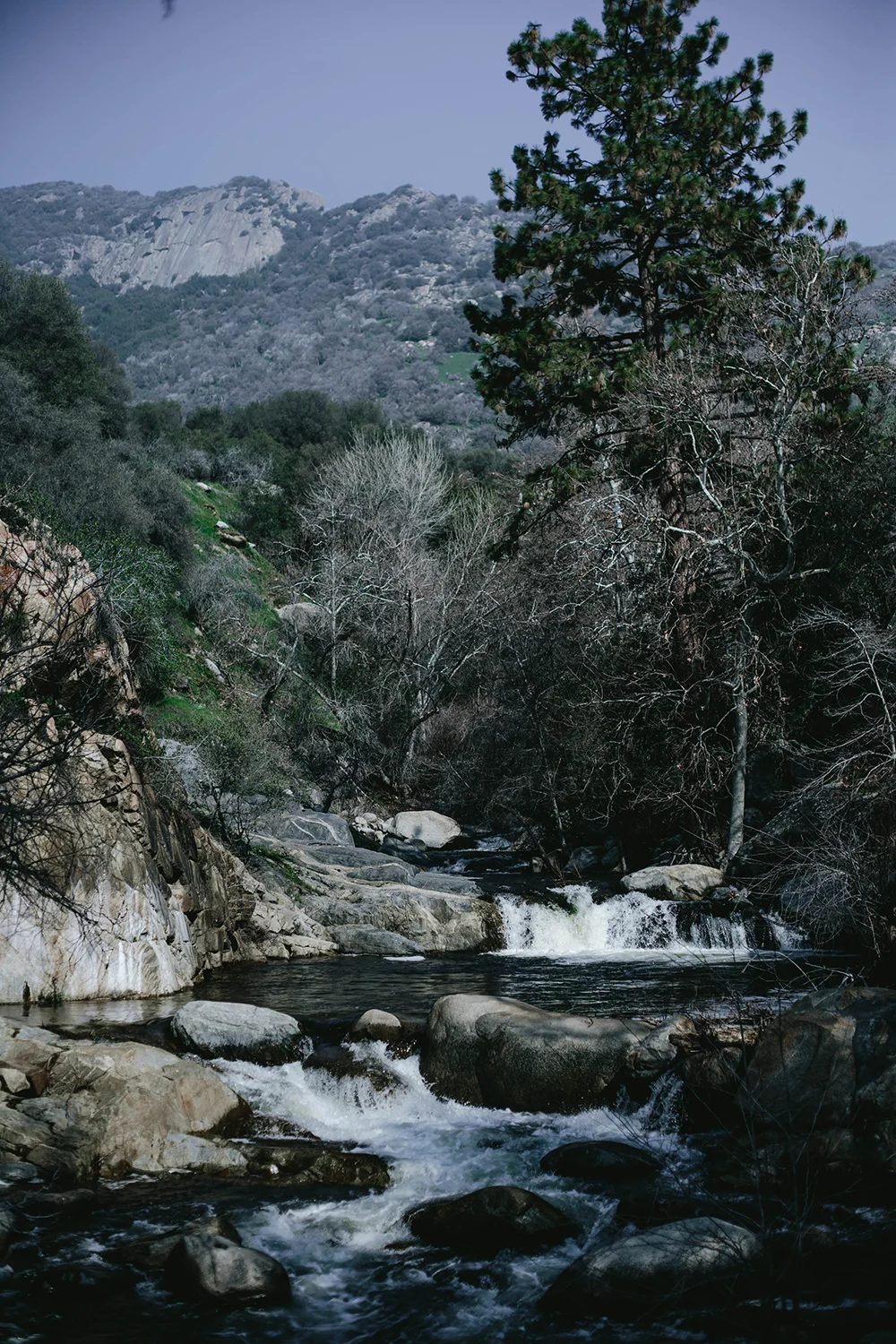 Redwood+Ranch+Gathering+by+The+Eternal+Child+--+Photographed+by+Valerie+Noell-9.jpg