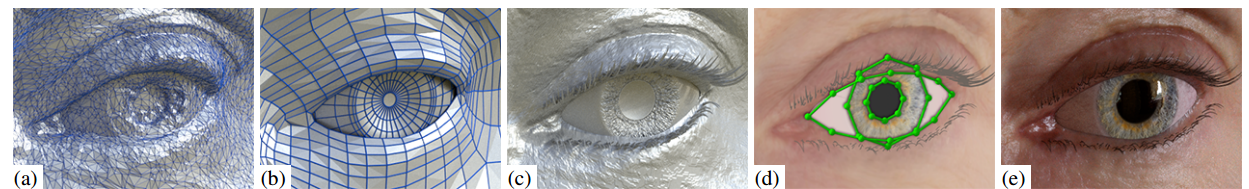 Programmatically generated eyes used to train machine learning algorithms to determine gaze direction.