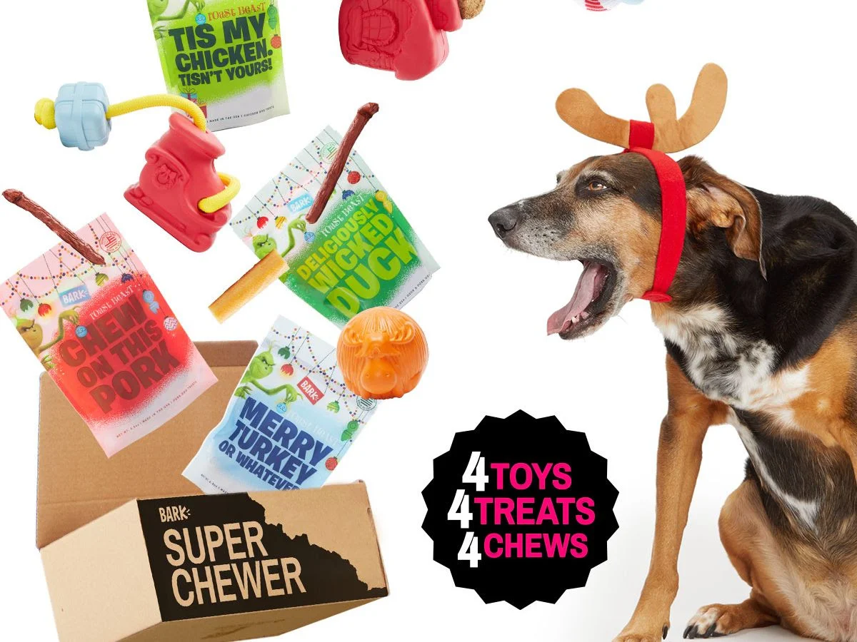 BarkBox Super Chewer Box , $45/1 month up to $329/12 months
