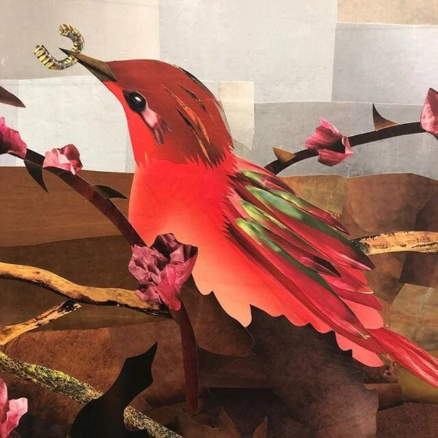 Brightening your feed with World at Your Feet, a new paper collage by my artist friend, @marniejainart ! (Image detail)

Stay safe and well! 
#stayhomesavelives #birdsofafeatherstayhometogether #artislife #boston #covidart