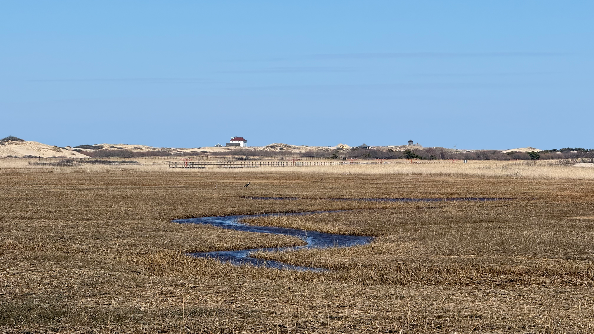 Quiet Spring Unfolding