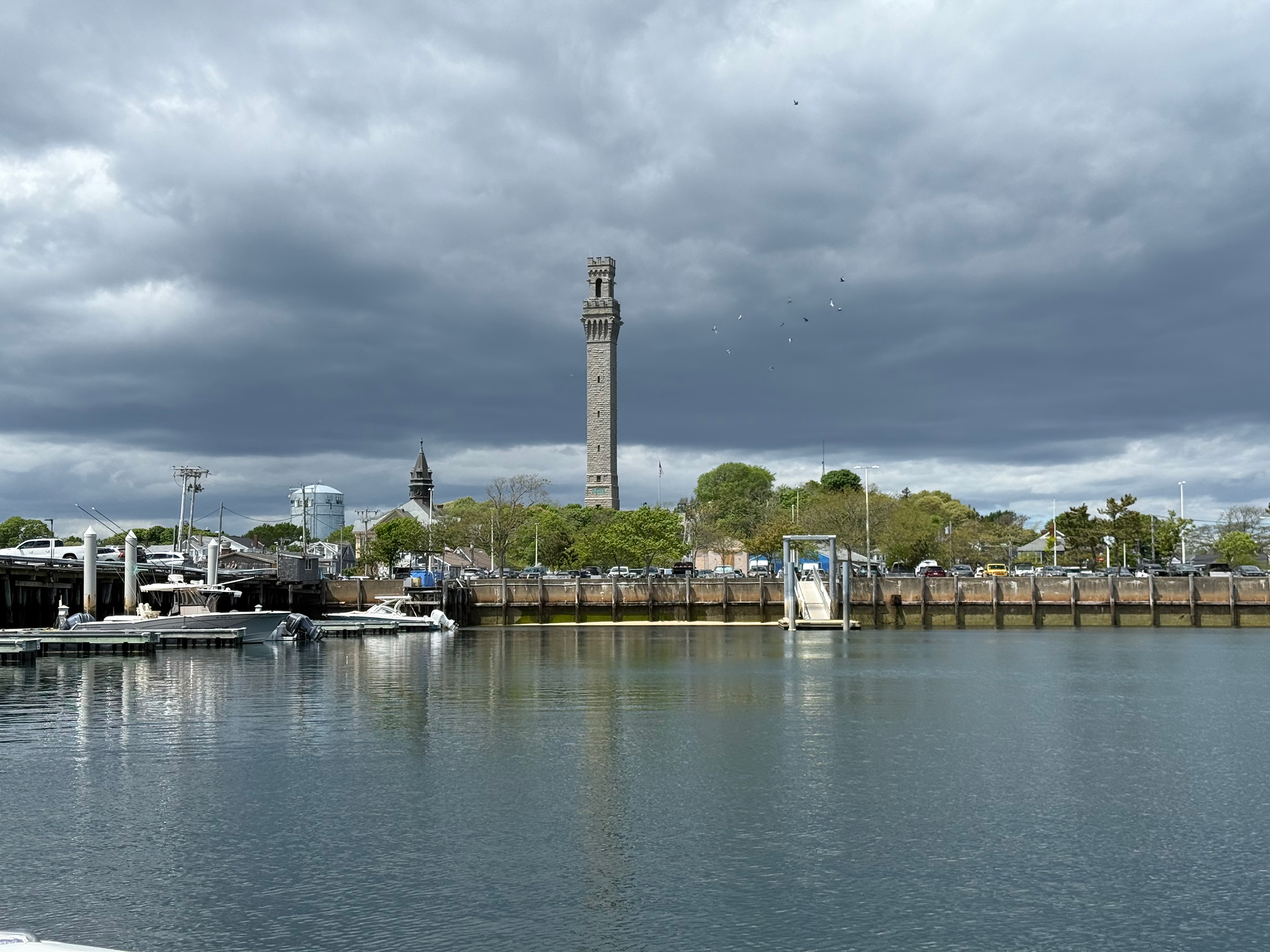 The Calm Before the Buzz