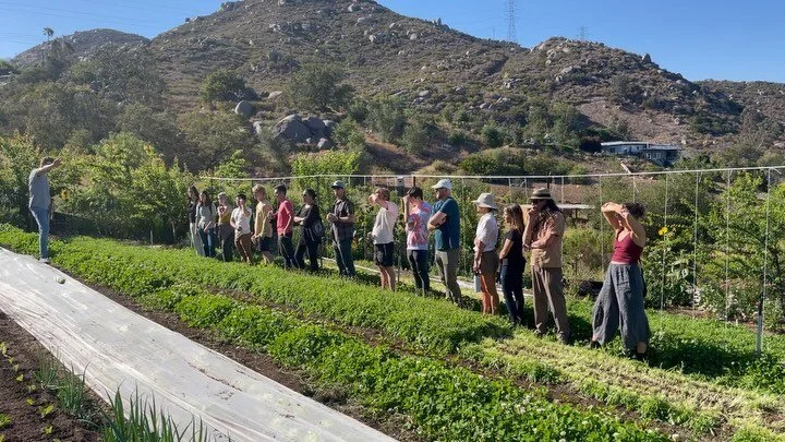 Enclave&rsquo;s FAM FIRST is an operational model created by chef Lando to cultivate a positive, healthy, and always-learning environment for her team. We take monthly FAM field trips to connect with our vendors and farmers like Spencer from @sagehil