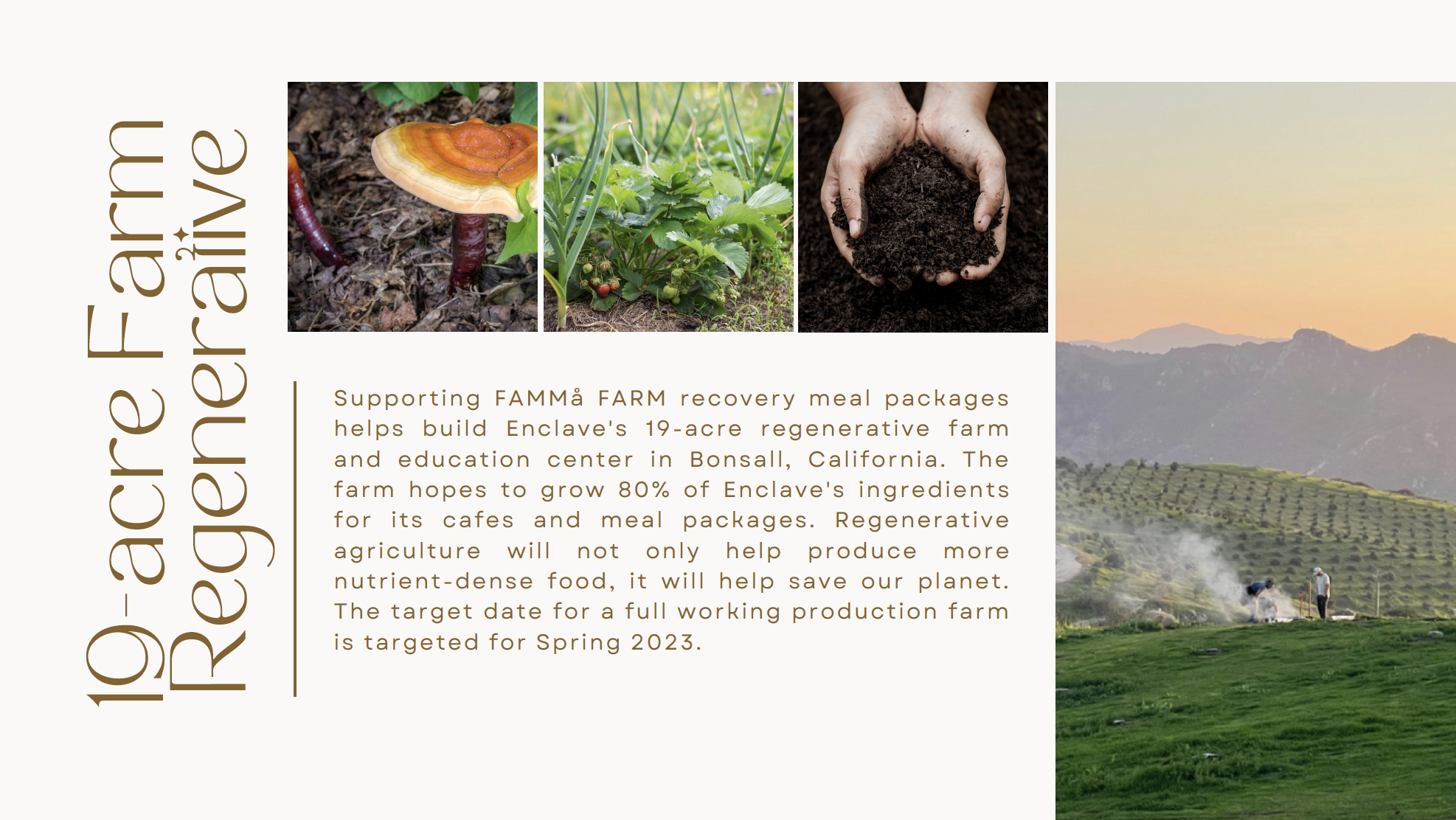 Screen Shot 2022-07-16 at 7.20.38 AM.png