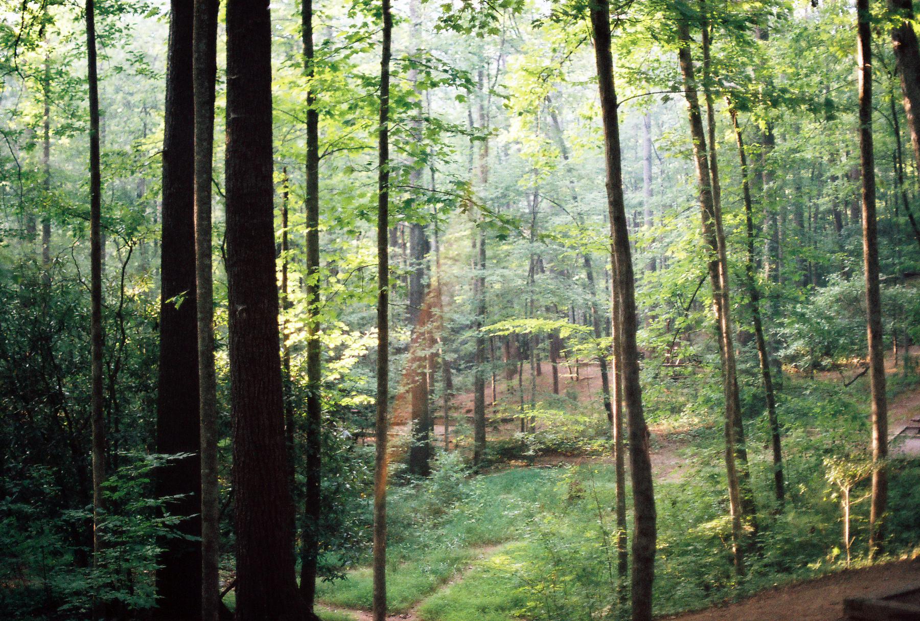 R1-02239-0016.jpg