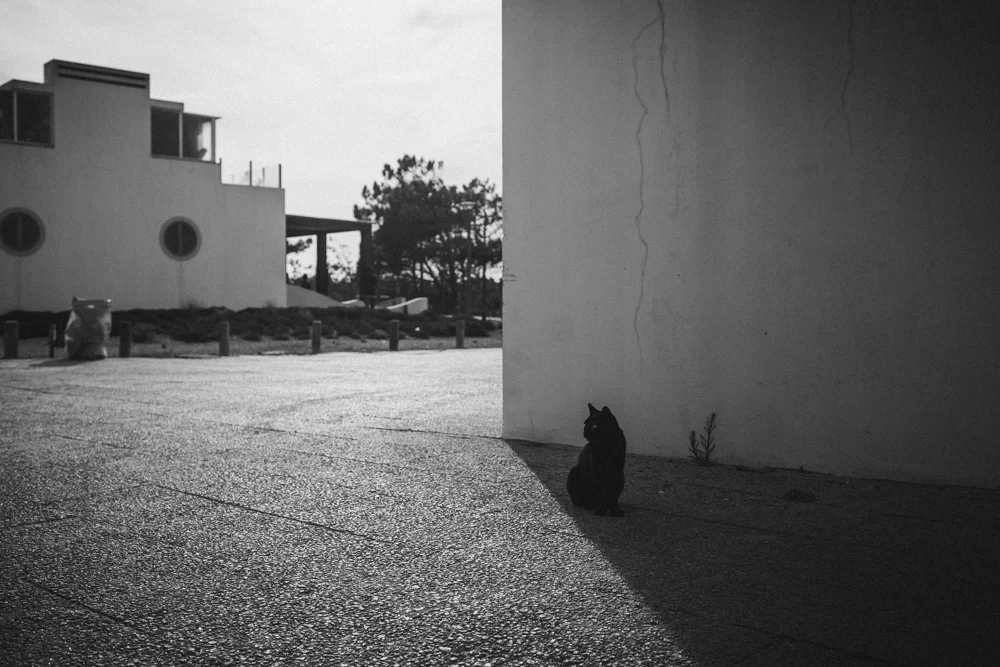 Lilyandlukas-Portugal-07.jpg