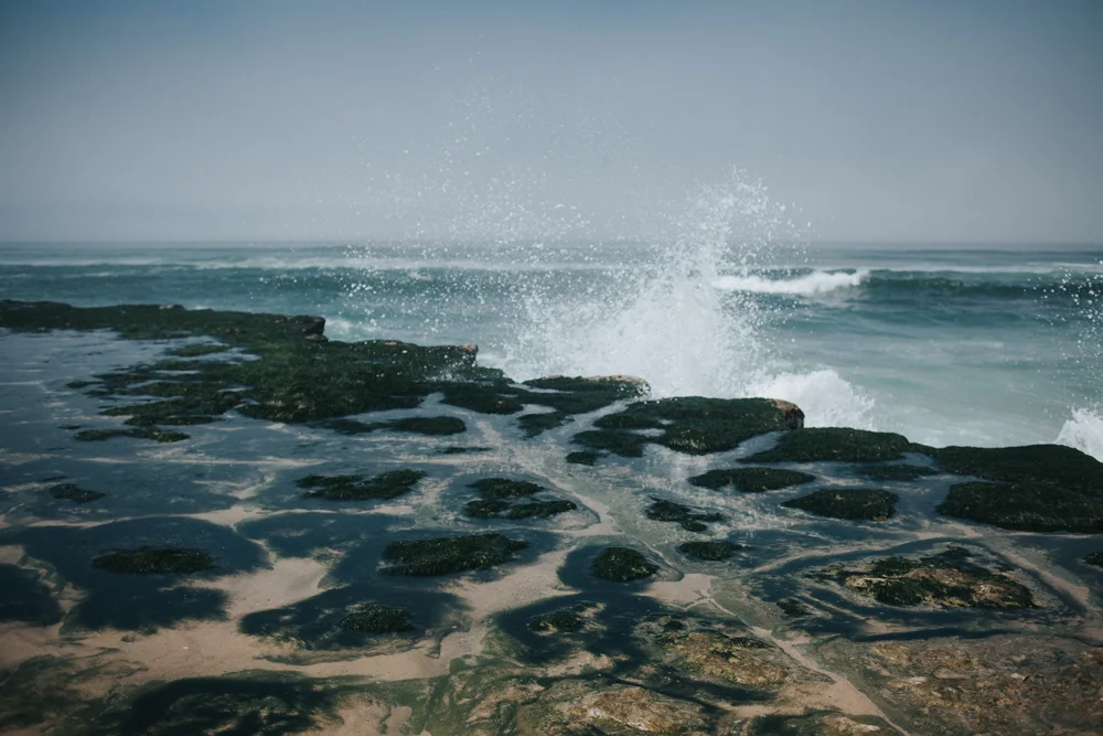 Lilyandlukas-Portugal-13.jpg