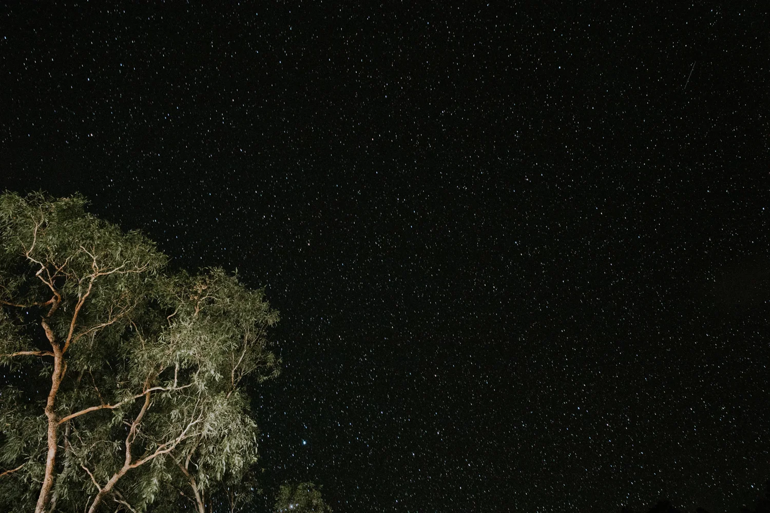 Outback(196von211).jpg