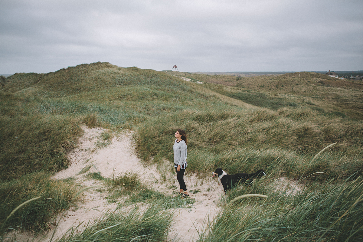 Vestjylland29.jpg