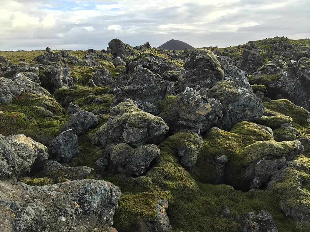 Lava Field