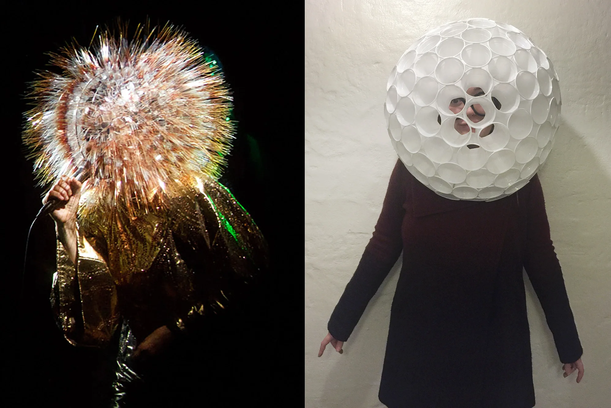 Bjork Halloween Costume