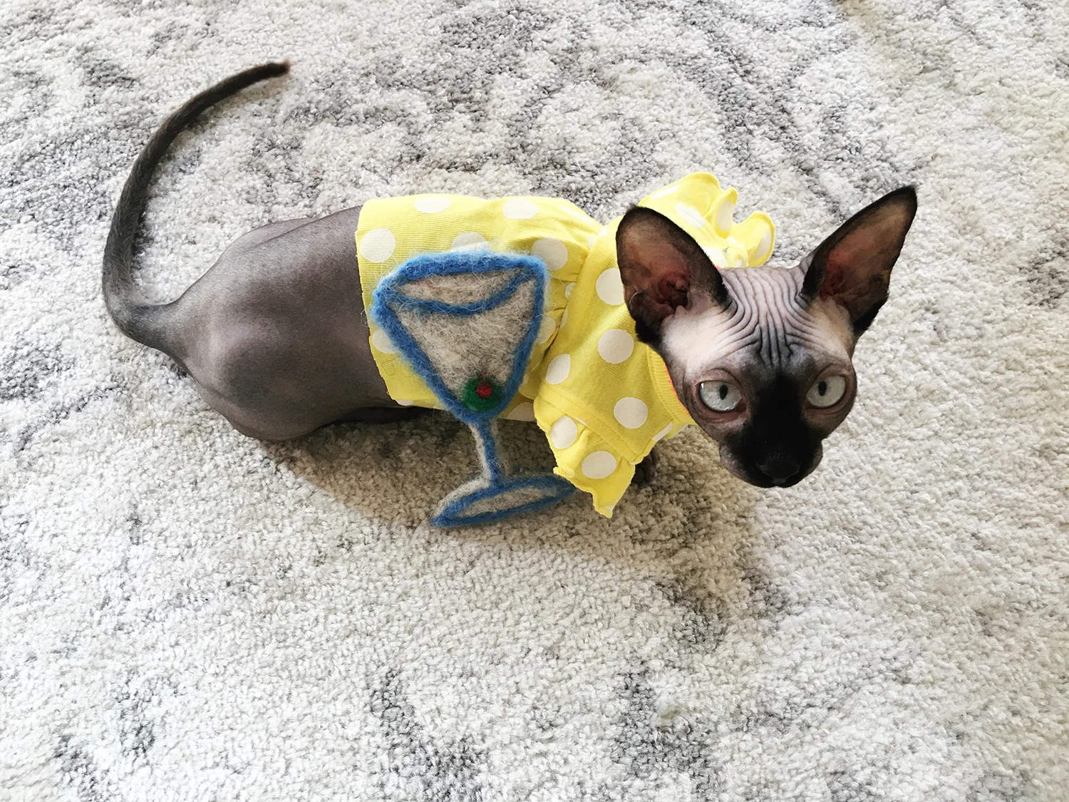Blair wearing her onesie from Auntie Charity and playing with her home made cat nip needle felted martini. Because it's what Blair Waldorf would want.