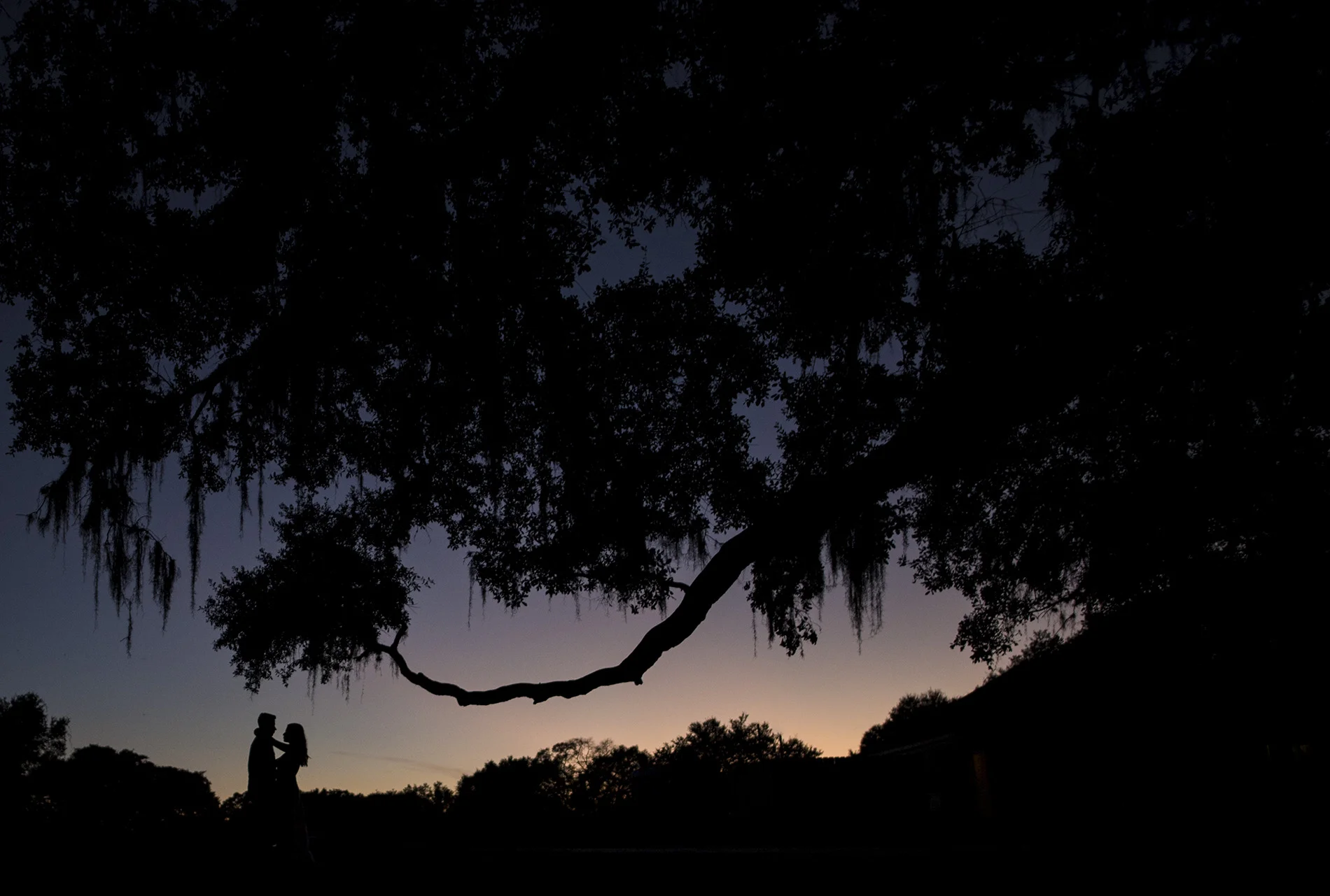 Houston-Brazos-Bend-Park-Lifestyle-Fine-art-engagement-photo