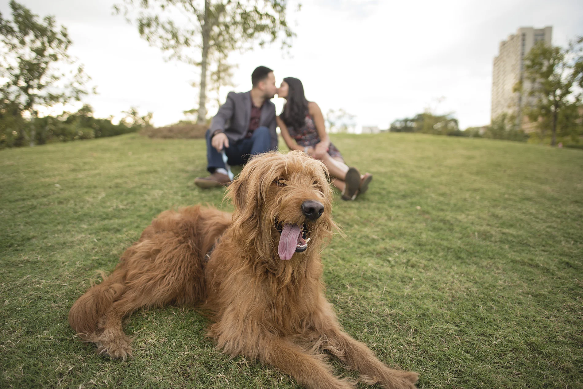 Mcgovern-centennial-gardens-houston-lifestyle-photographer.