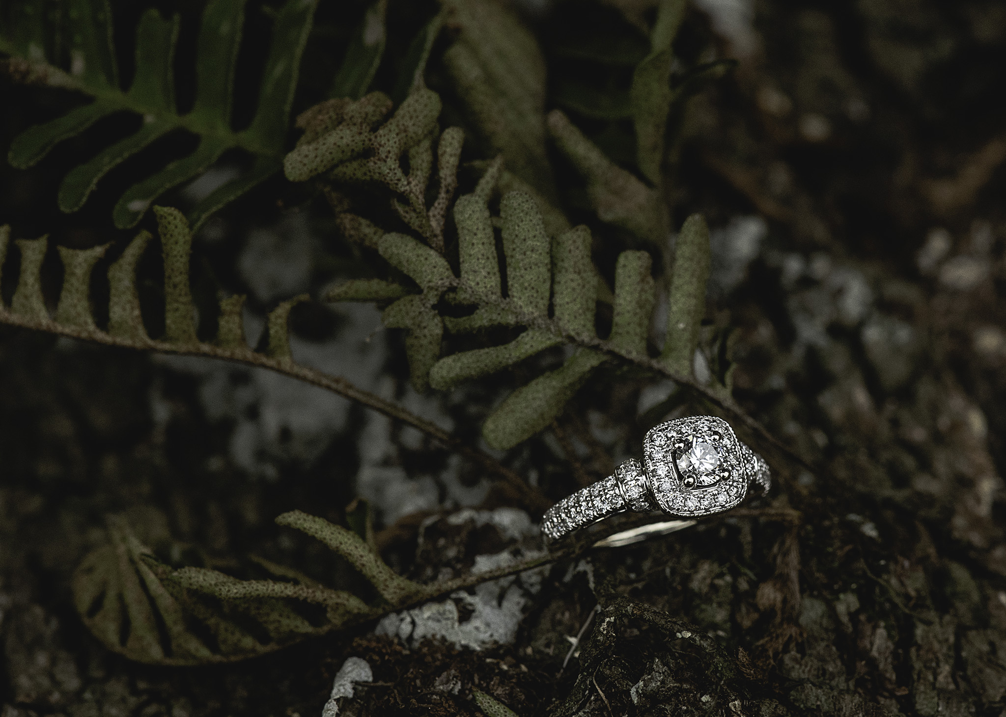 George-Ranch-Historical-Park-Richmond-Rustic-Country-Engagement-Photography