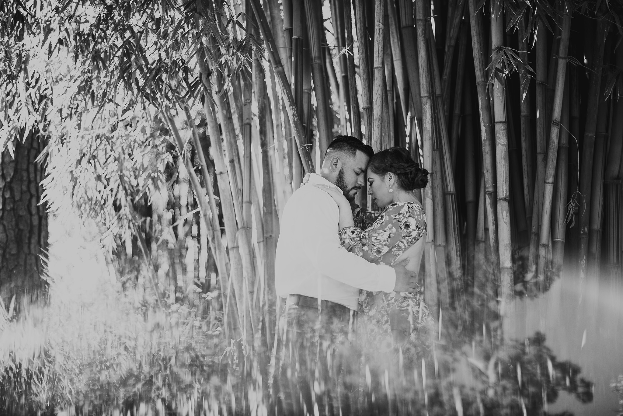 Houston-mercer-arboretum-engagement-photo-session