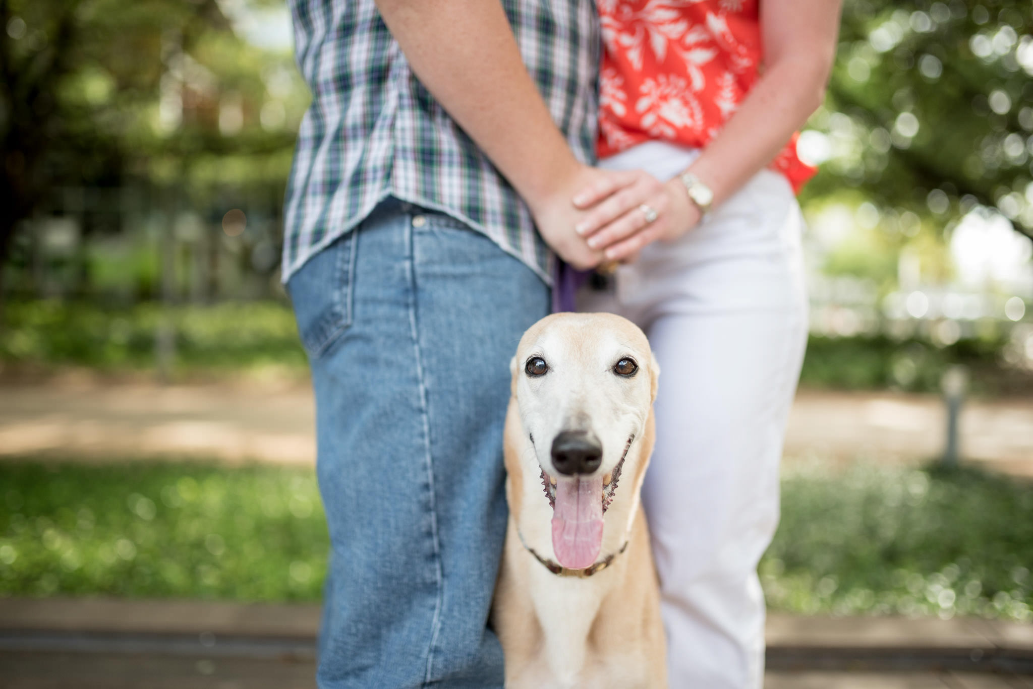 Houston-Discovery-green-Park-engagement-session-photography