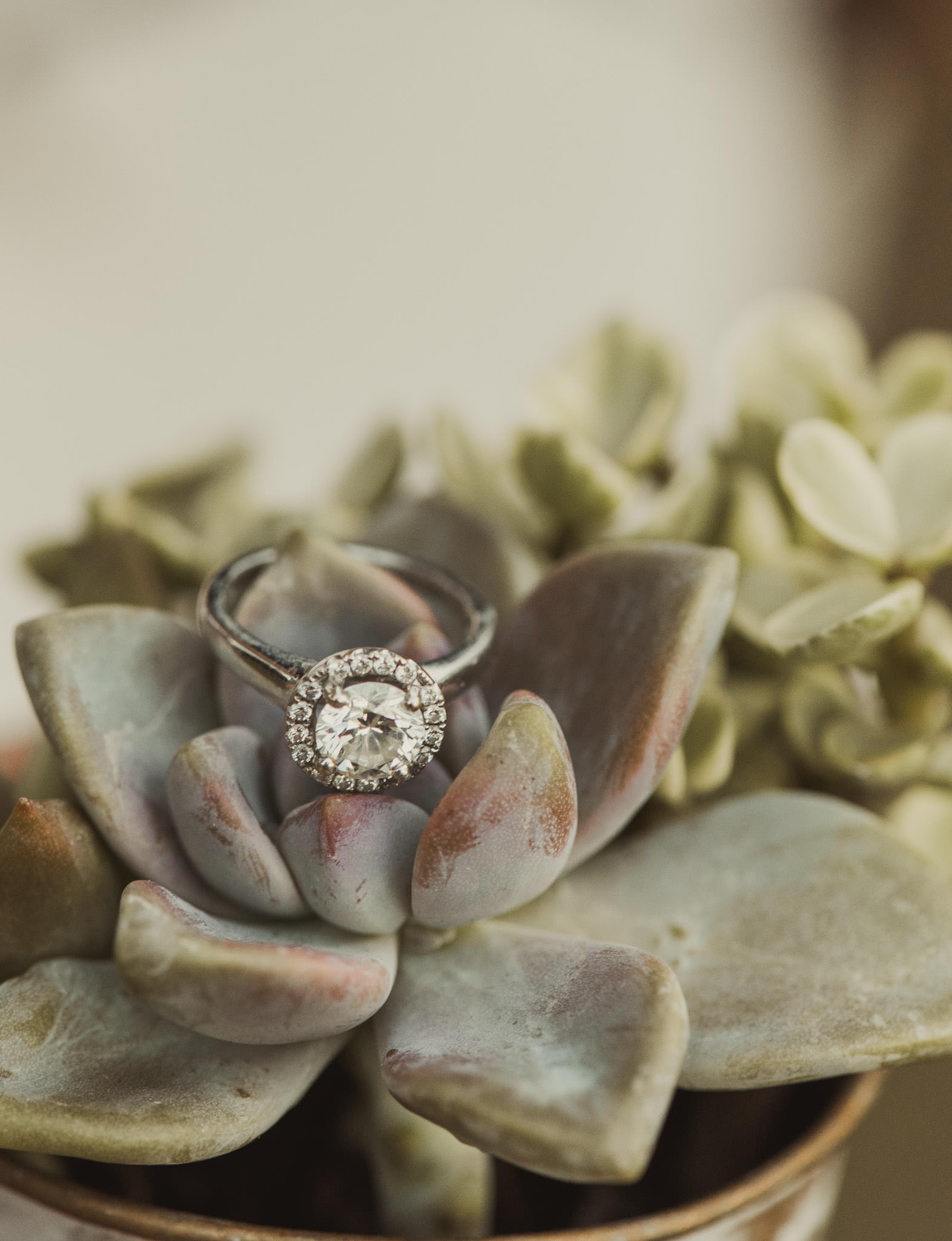 diamond-ring-houston-wedding-engagement-photographer-macro-nikon-105-jason-smelser