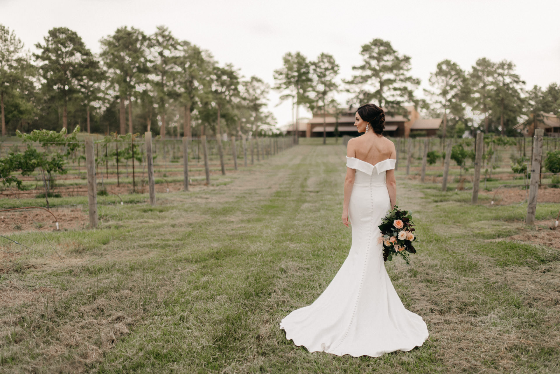 the-vine-new-ulm-houston-wedding-venue-bridal-vineyard-winery-styled-romantic