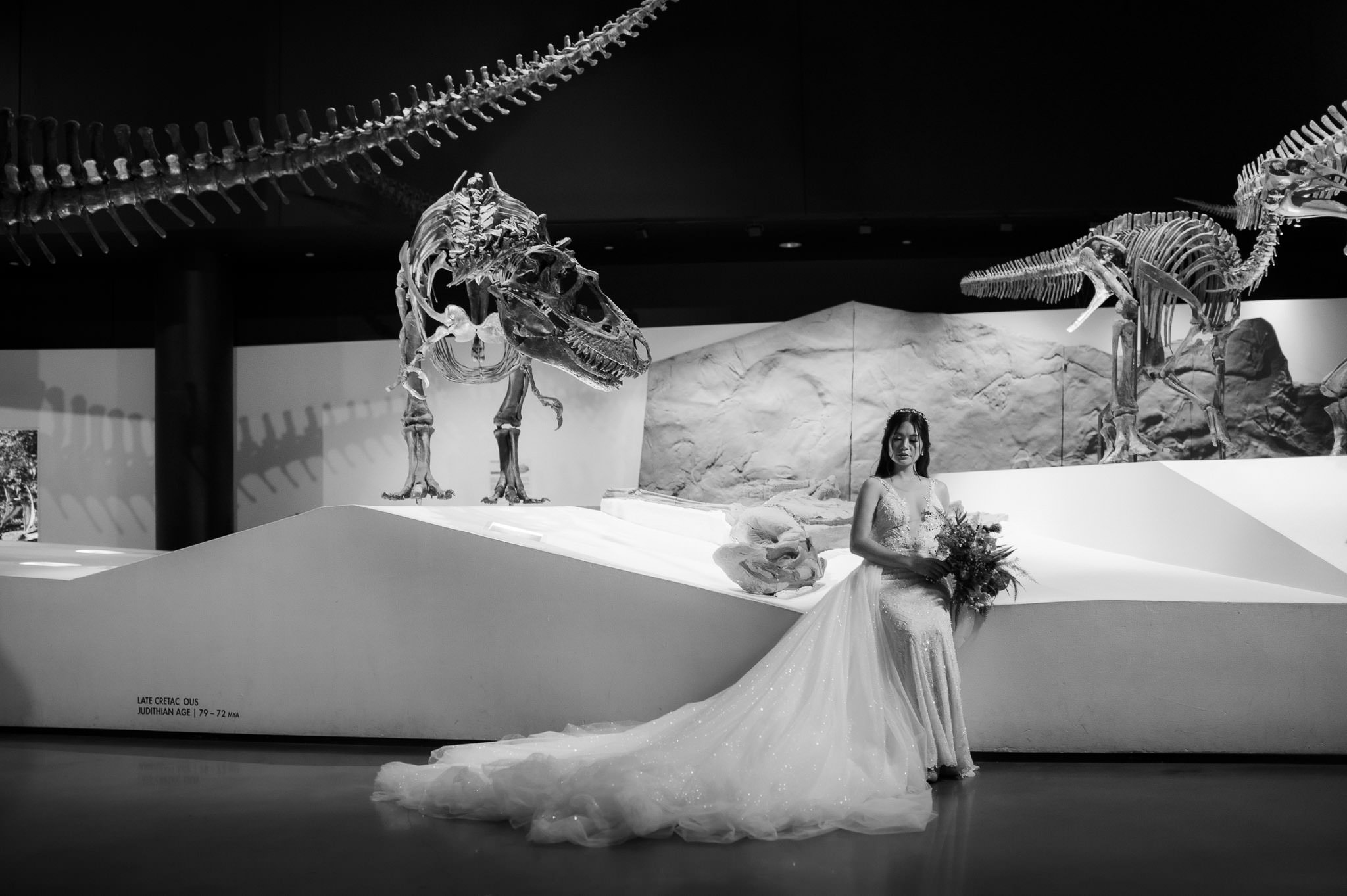 tiffany-bridal-houston-museum-natural-science-sm-15.jpg