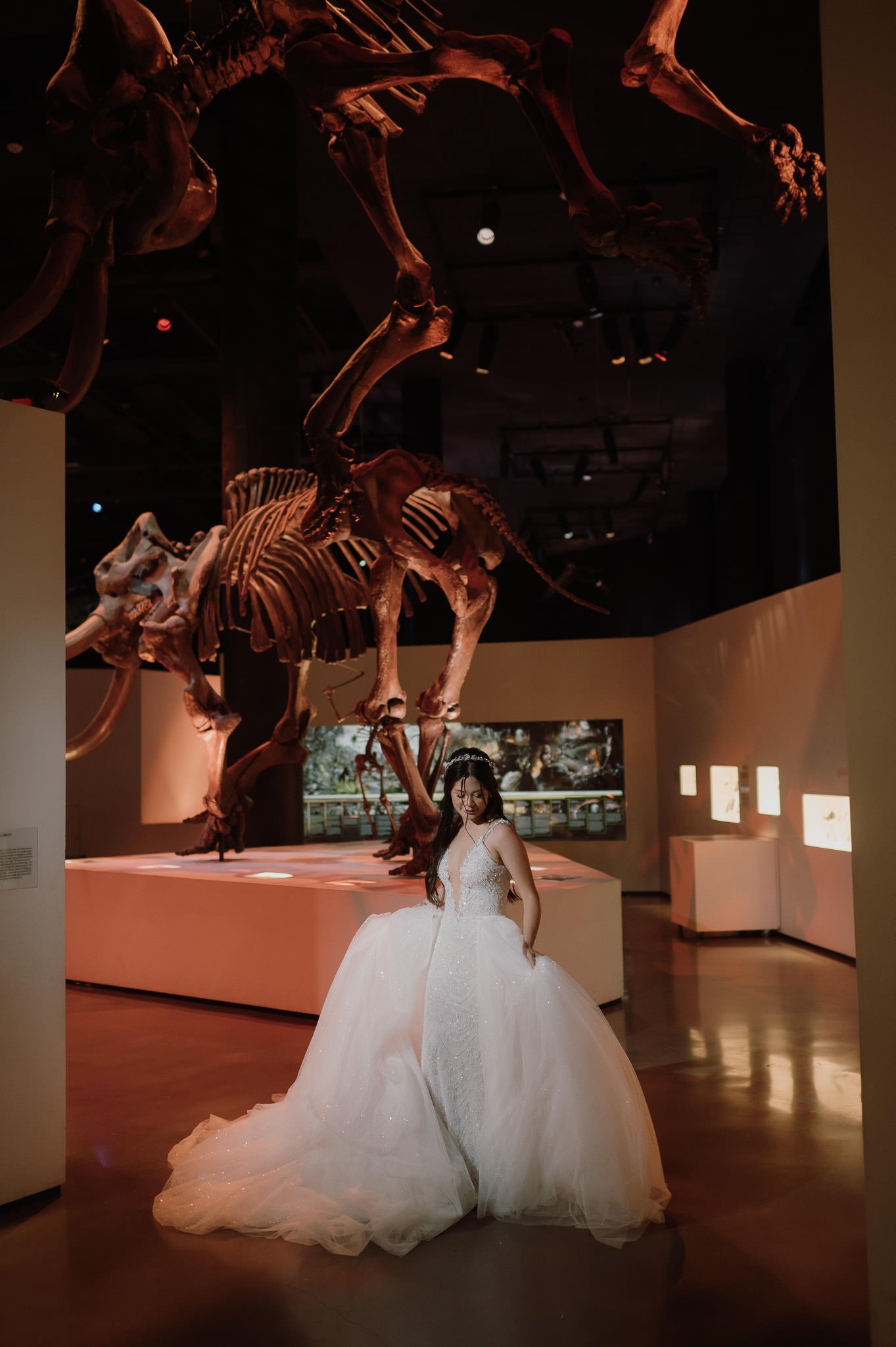 tiffany-bridal-houston-museum-natural-science-sm-20.jpg