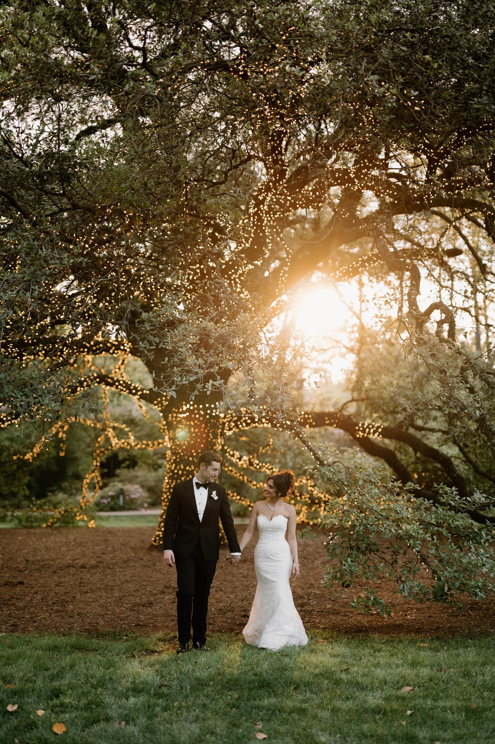 The-Houstonian-Hotel-wedding-photography-oak-tree-lights-golden-hour-houston-classy-modern-luxury