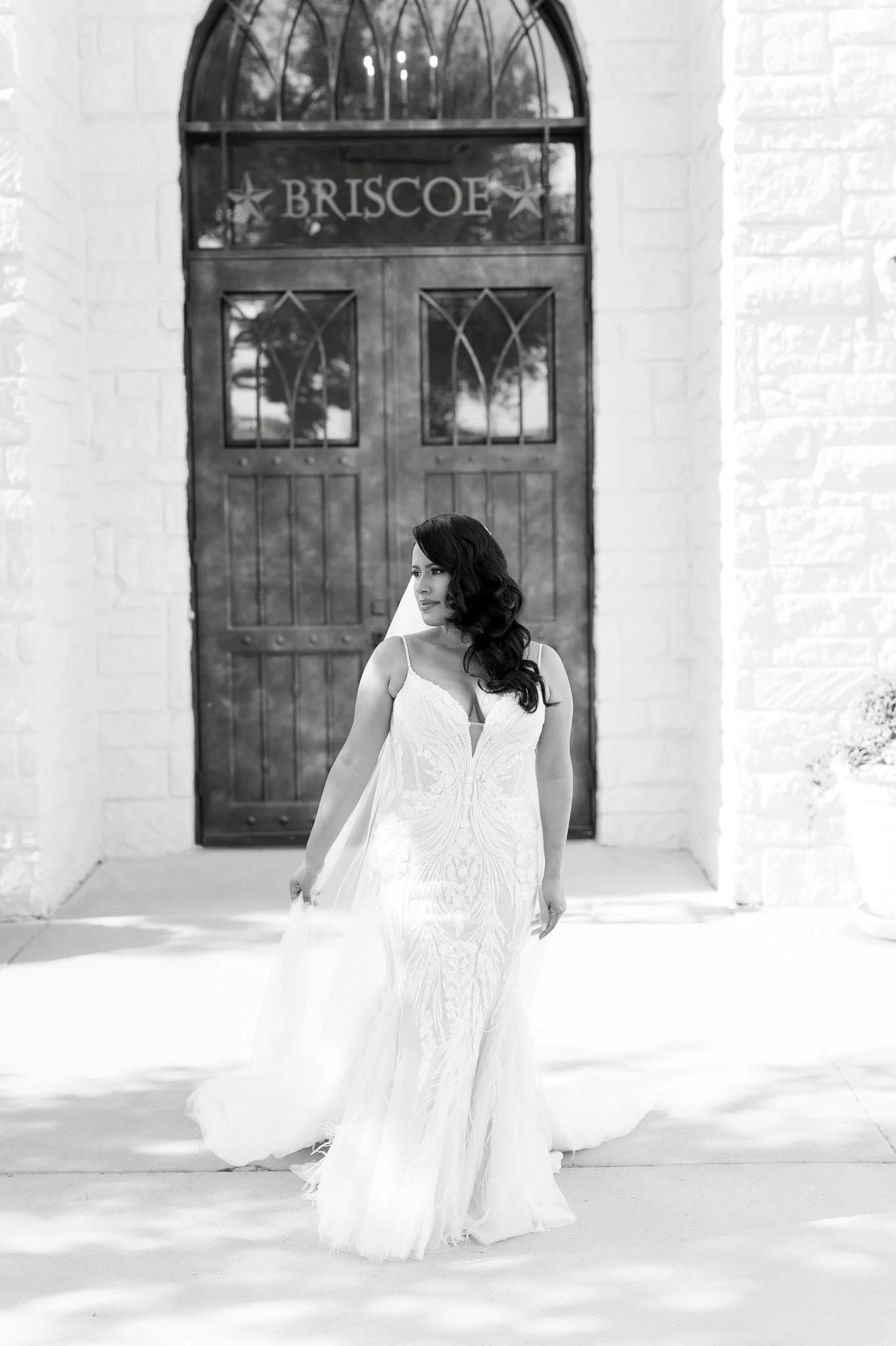 alexis-bridals-briscoe-manor-sm-76.jpg