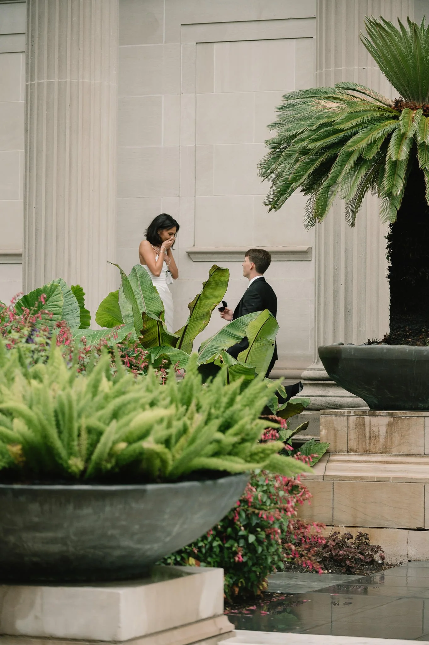 ally-chase-proposal-houston-museum-district-engagement-sm-56.jpg