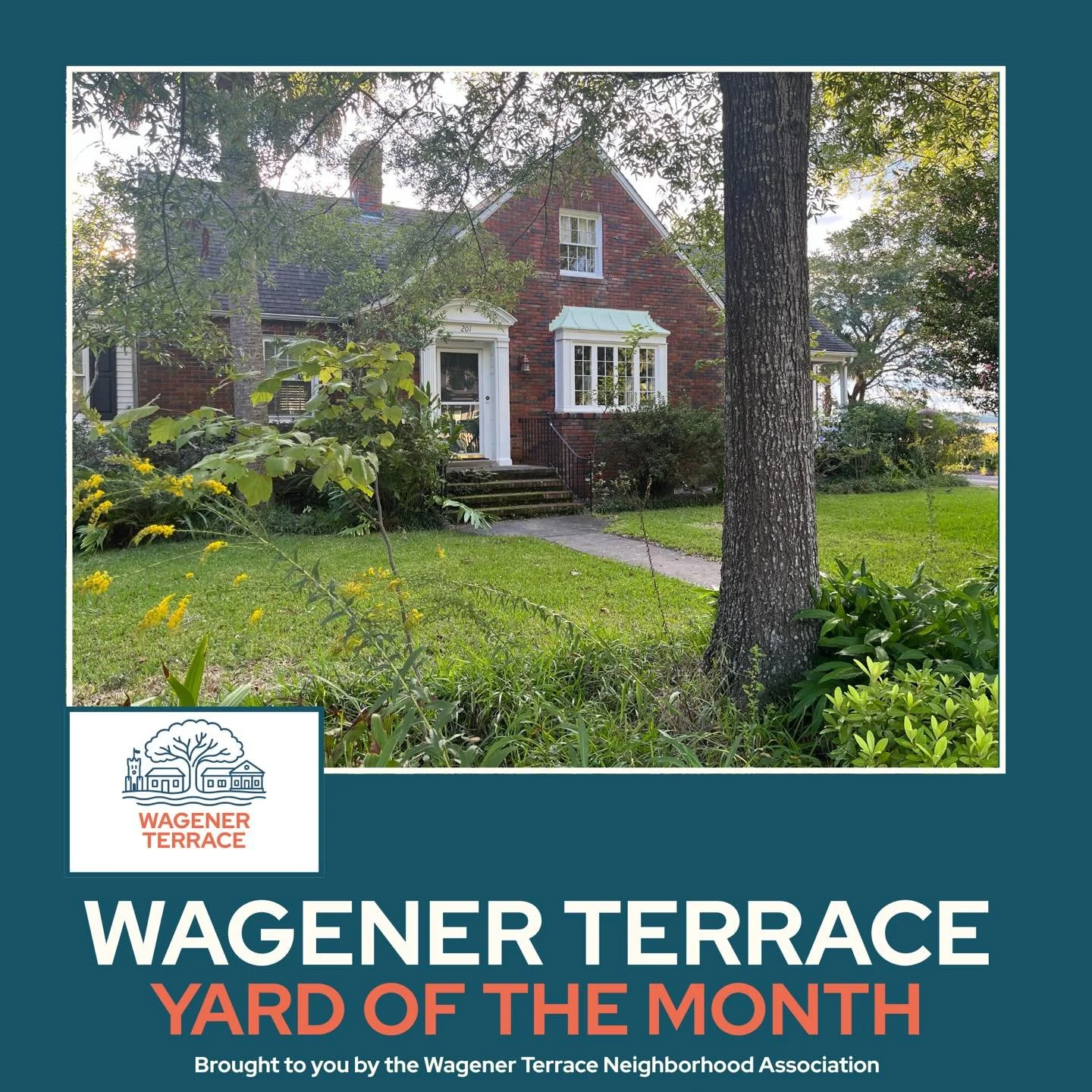 🌿 November Yard of the Month 🌿
Congrats to Susan &amp; Jim Wigley at 201 5th St. &mdash; their yard is a beautiful example of nature-based gardening and native plant love. 💚

They told us:

&ldquo;We hope our yard will promote native plant awarene