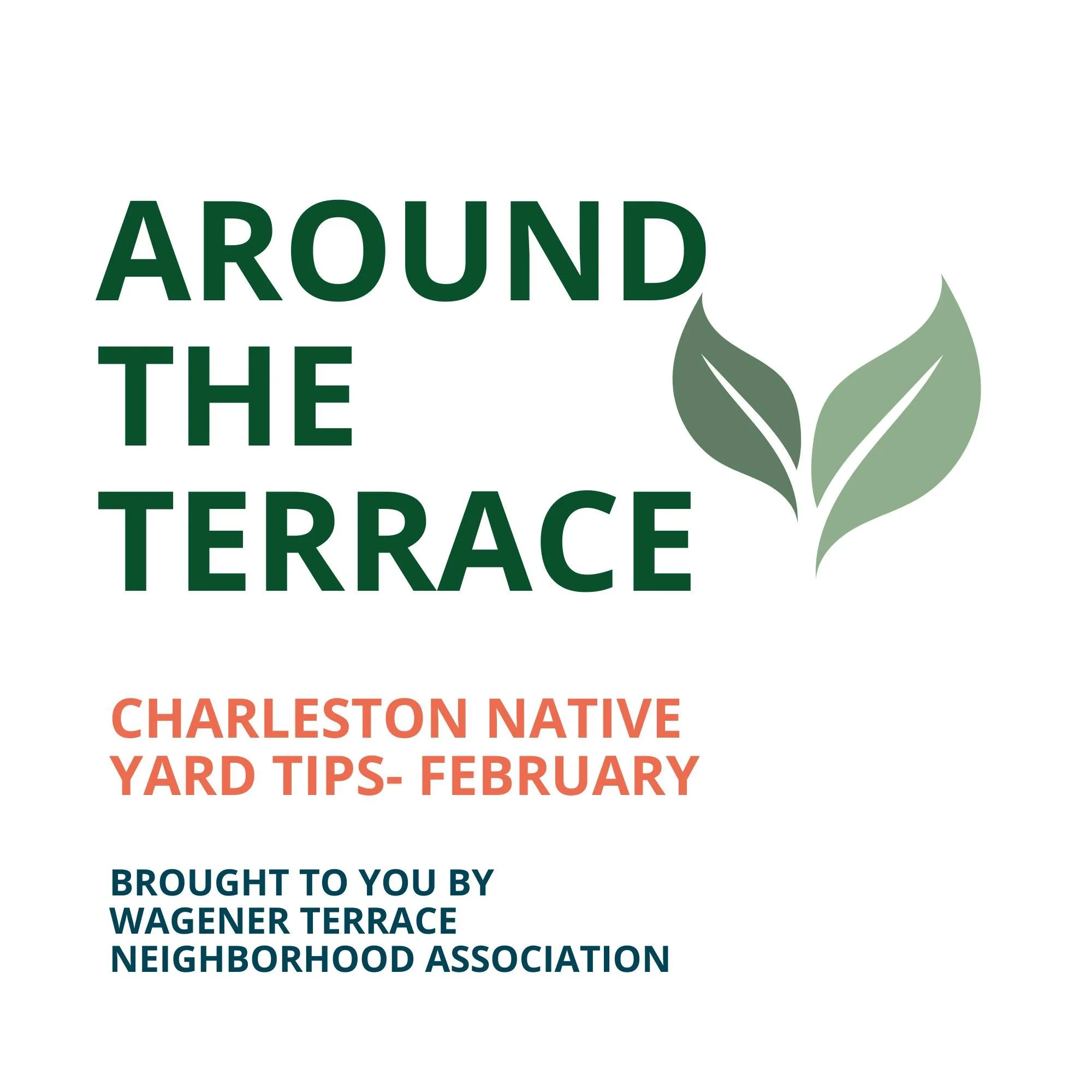 AROUND THE TERRACE | FEBRUARY
February is the quiet setup month. Prune for structure, top-dress beds with compost, reset mulch to 2&ndash;3", and pull winter weeds before they seed. Small moves now = easier spring, fewer weeds, and a yard that l