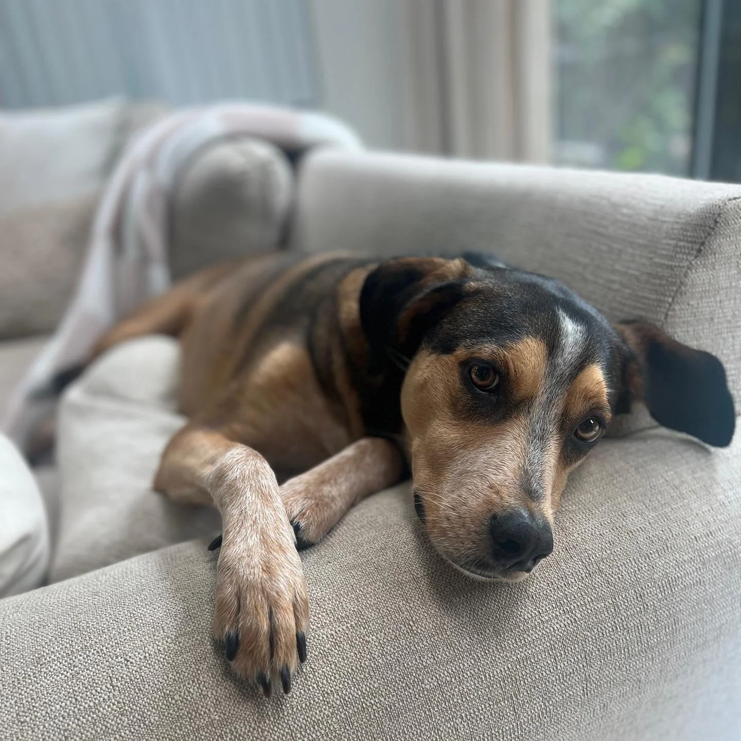 Back home with my guy and all is right in the world