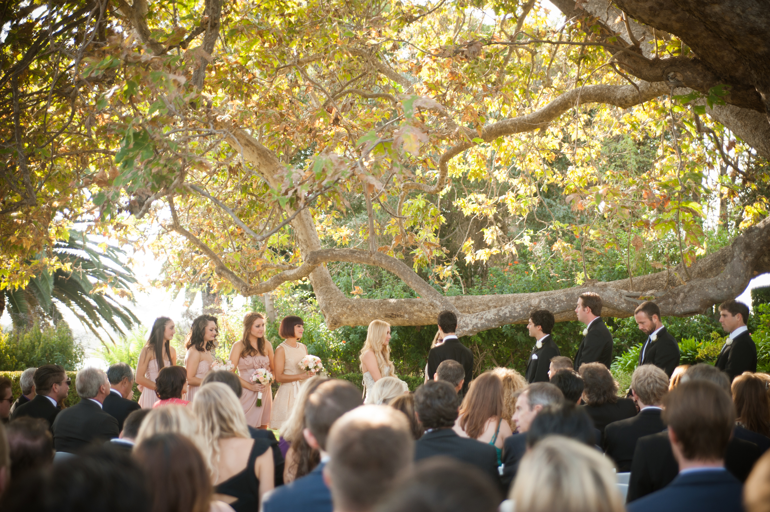 JJ_WEDDING_Ceremony_BKEENEPHOTO_098.jpg