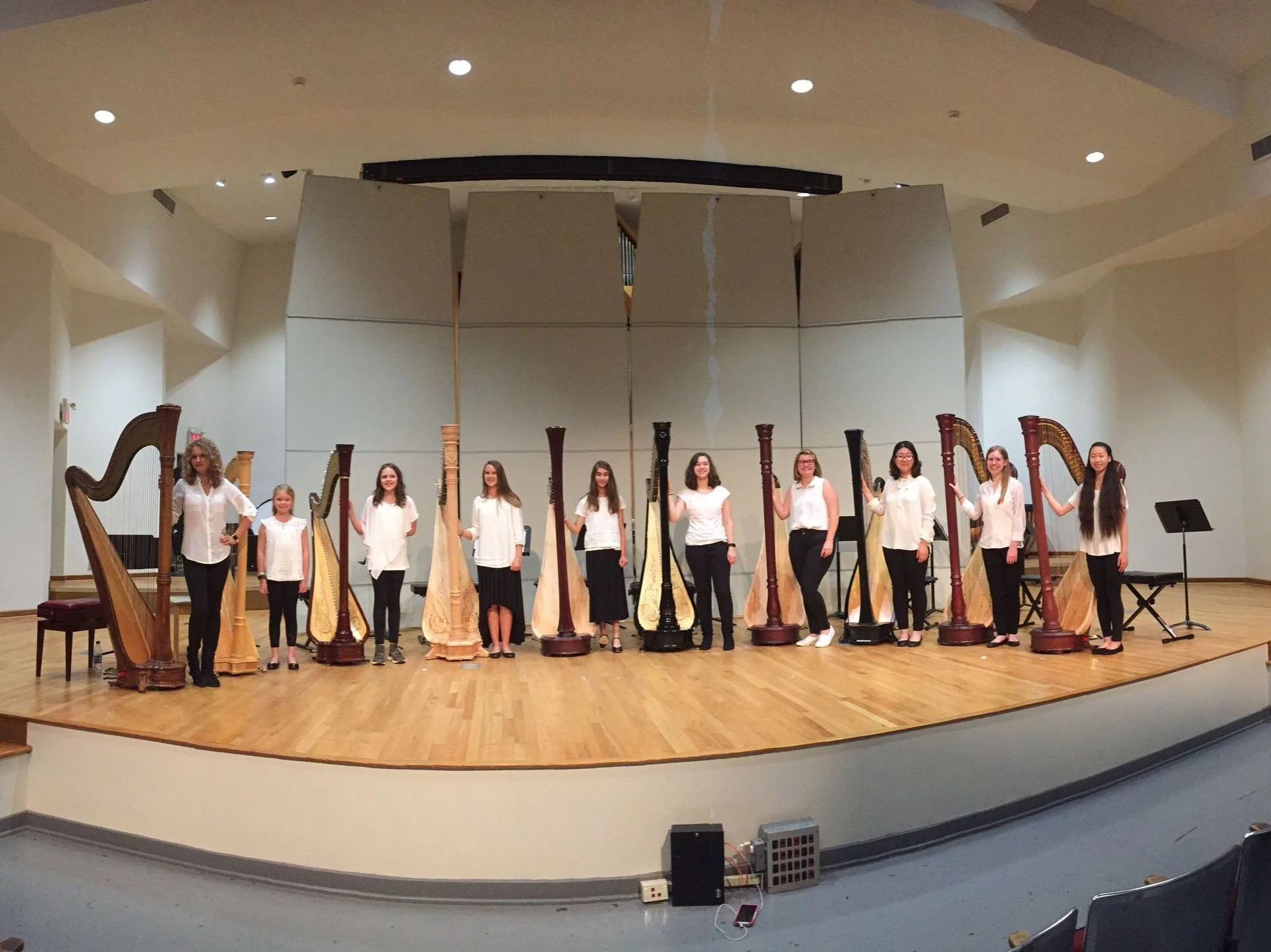 American Harp Academy at UNCSA