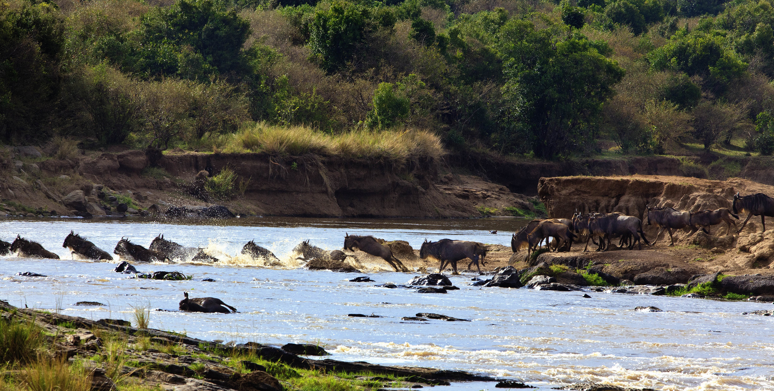 Mara River Kenya